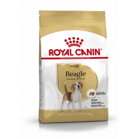 Royal Canin-Beagle Adulto (1)