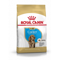 Royal Canin-Cocker Cucciolo (1)