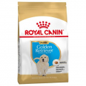 Royal Canin-Golden Retriever Cucciolo (1)