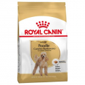 Royal Canin-Barbone/Barboncino Adulto (1)