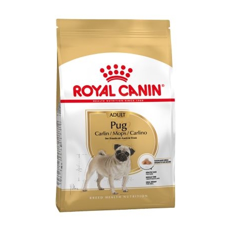 Royal Canin-Carlino Adulto (1)