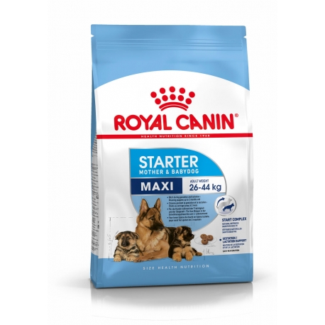 Royal Canin-Maxi Starter Gestazione/Lattazione (1)