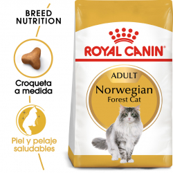 Royal Canin-Norwegian Forest Adulto (1)