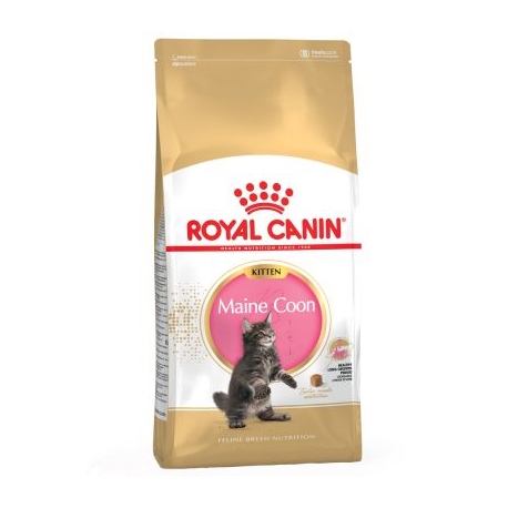 Royal Canin-Kitten Maine Coon (1)