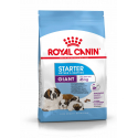 Royal Canin-Giant Starter Gestazione/Lattazione (1)