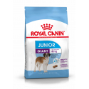 Royal Canin-Giant Junior Razze Gigante (1)