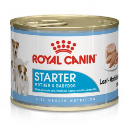 Royal Canin-Starter Mousse Gestazione/Lattazione (1)