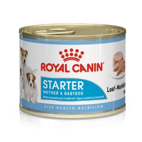 Royal Canin-Starter Mousse Gestazione/Lattazione (1)