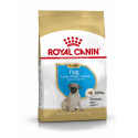 Royal Canin-Carlino Cucciolo (1)
