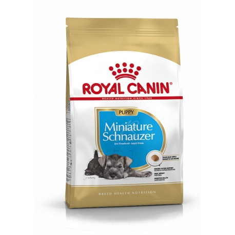 Royal Canin-Schnauzer Miniature Cucciolo (1)