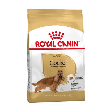 Royal Canin-Cocker Adulto (1)