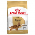Royal Canin-Cocker Adulto (1)
