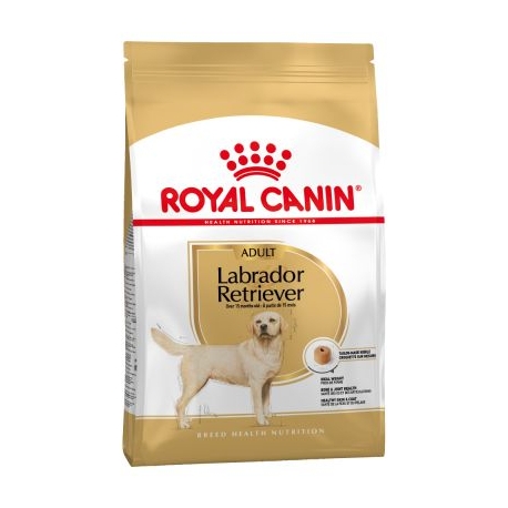 Royal Canin-Labrador Retriever Adulto (1)