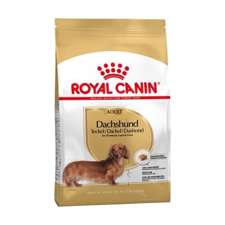 Royal Canin-Teckel Adulto (1)