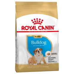 Royal Canin-Bulldog Inglese Cucciolo (1)