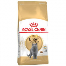 Royal Canin-British Shorthair Adulto (1)