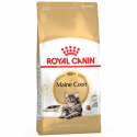 Royal Canin-Maine Coon Adulto (1)