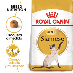 Royal Canin-Siamese Adulto (1)