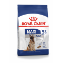 Royal Canin-Maxi Adulto +5 Anni Razze Grande (1)