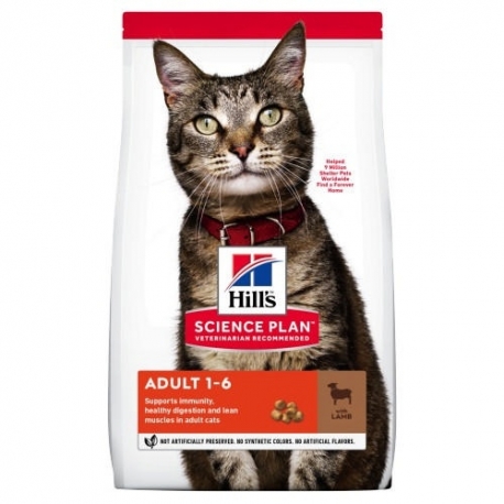 Hills-SP Feline Adult con Agnello (1)