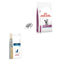 Royal Canin Veterinary Diets-Feline Renal Special (1)