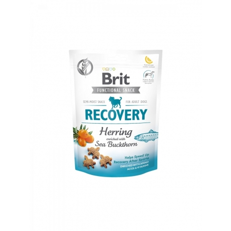 Brit care dog functional snack recovery arenques