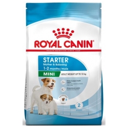 Royal Canin-Mini Starter Gestazione/Lattazione (1)