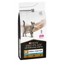 Purina Veterinary Diets-NF Funzione Renale per Gatto (1)