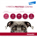 Advantix-4-10KG Pipette Tripla Protezione (1)