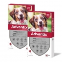 Advantix Pack 2 unità (8 pipette) per cani di taglia media (10-25 kg)