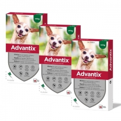 Confezione Advantix 12 pipette di risparmio per cani mini (0-4KG)
