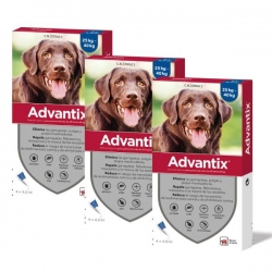 Advantix Pack 3 unità (12 pipette) per cani di grandi dimensioni (+25kg)