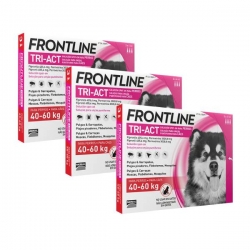 Pacchetto Frontline Tri-Act 3 unità (18 pipette) per cani grandi (40-60 KG)