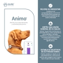 Monitor Animo de Actividad y Comportamiento Para Perros
