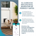 Gatera Microchip SureFlap® Connect Inteligente Para Gatos