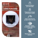 Gatera Microchip SureFlap® Connect Inteligente Para Gatos