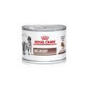Royal Canin Veterinary Diets-Recovery 195gr Umido (1)