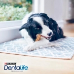 Dentalife Dog Medium Para Perros Medianos