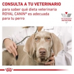 Royal Canin Veterinary Diets Renal Special Pack de Comida Húmeda para perros