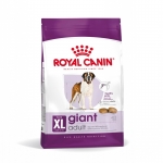 Royal Canin-Giant Adulto Razze Giganti (1)
