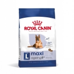 Royal Canin-Maxi Ageing +8 Anni Razze Grande (1)