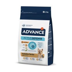 Affinity Advance-Yorkshire Terrier Adulto (1)