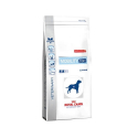 Royal Canin Veterinary Diets-Mobility C2P+ (1)